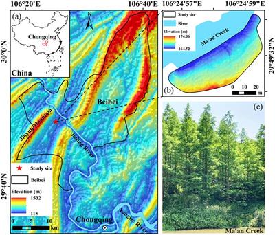 Precise aboveground biomass estimation of plantation forest trees using the novel allometric model and UAV-borne LiDAR